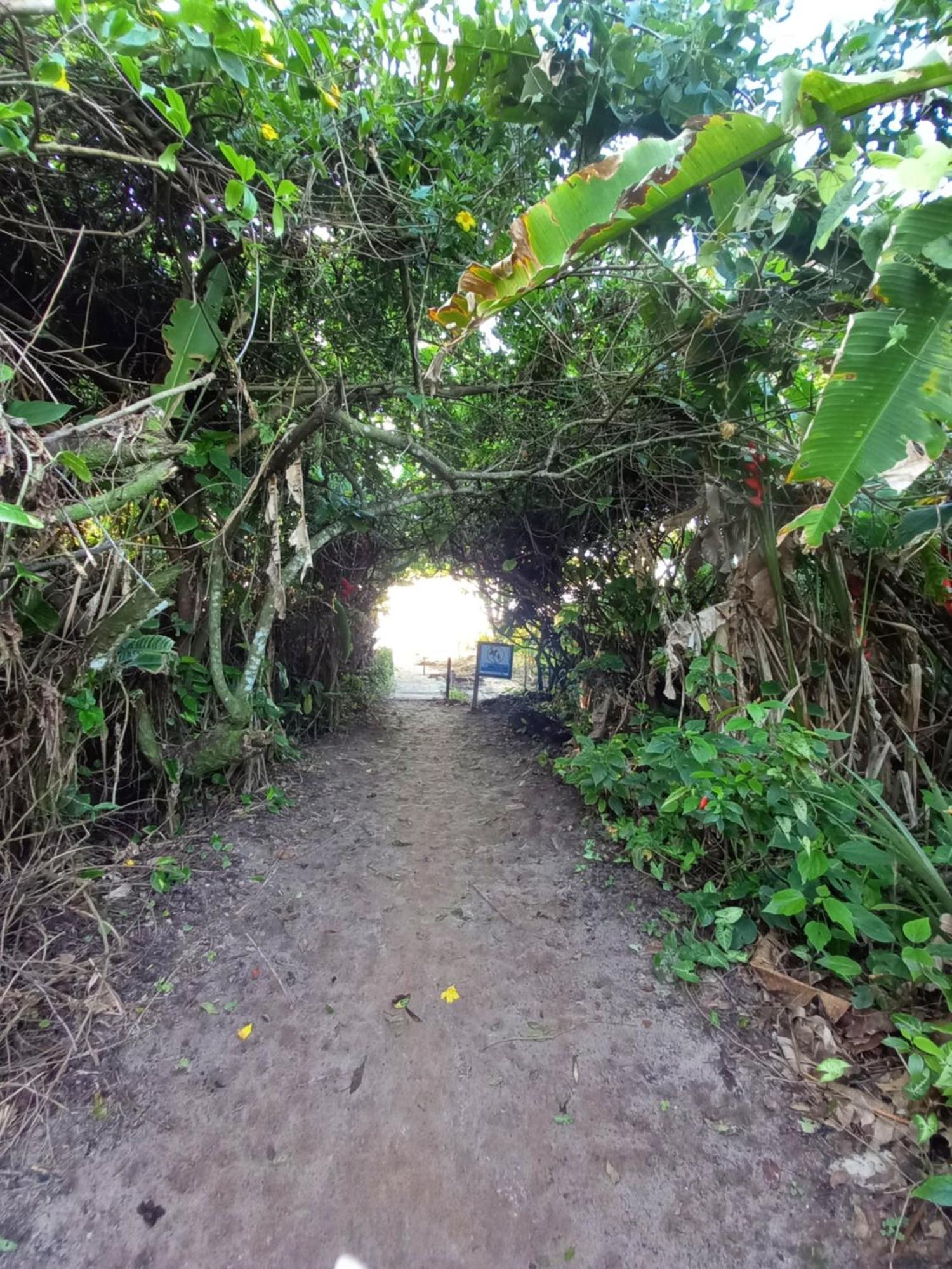 Suite No Condominio Itamambuca - Muito Perto Da Praia !!! Ubatuba Dış mekan fotoğraf