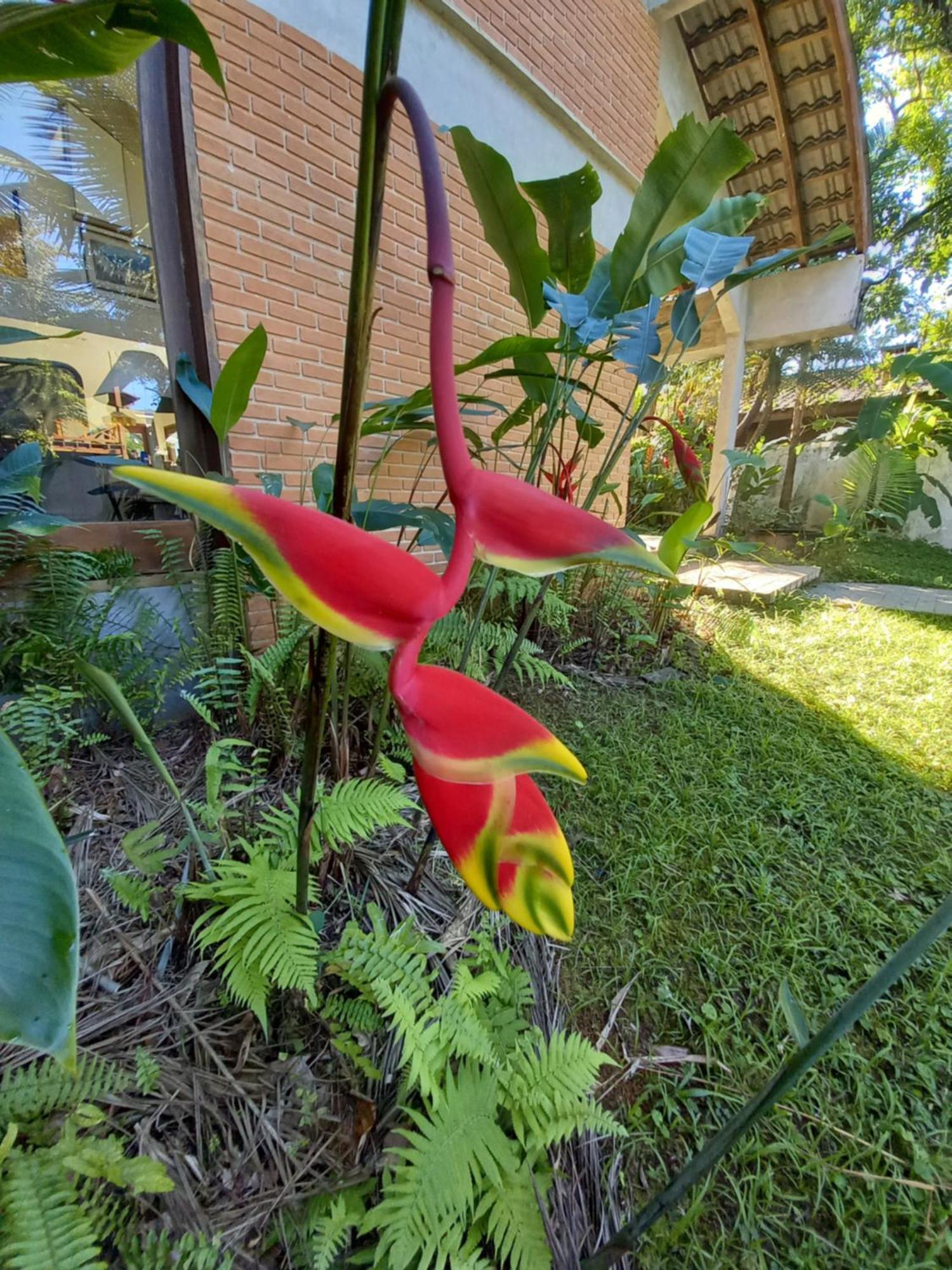Suite No Condominio Itamambuca - Muito Perto Da Praia !!! Ubatuba Dış mekan fotoğraf