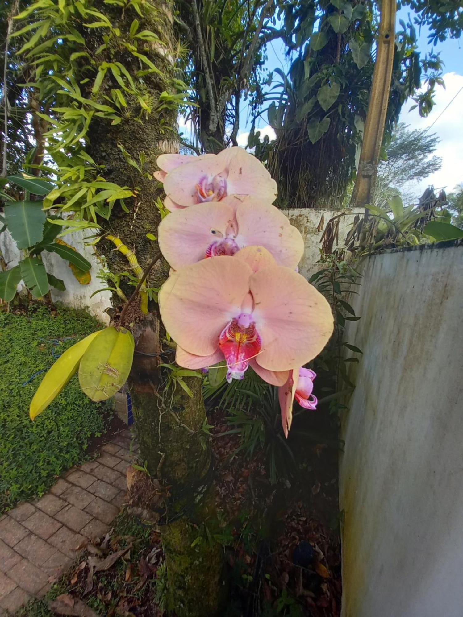 Suite No Condominio Itamambuca - Muito Perto Da Praia !!! Ubatuba Oda fotoğraf