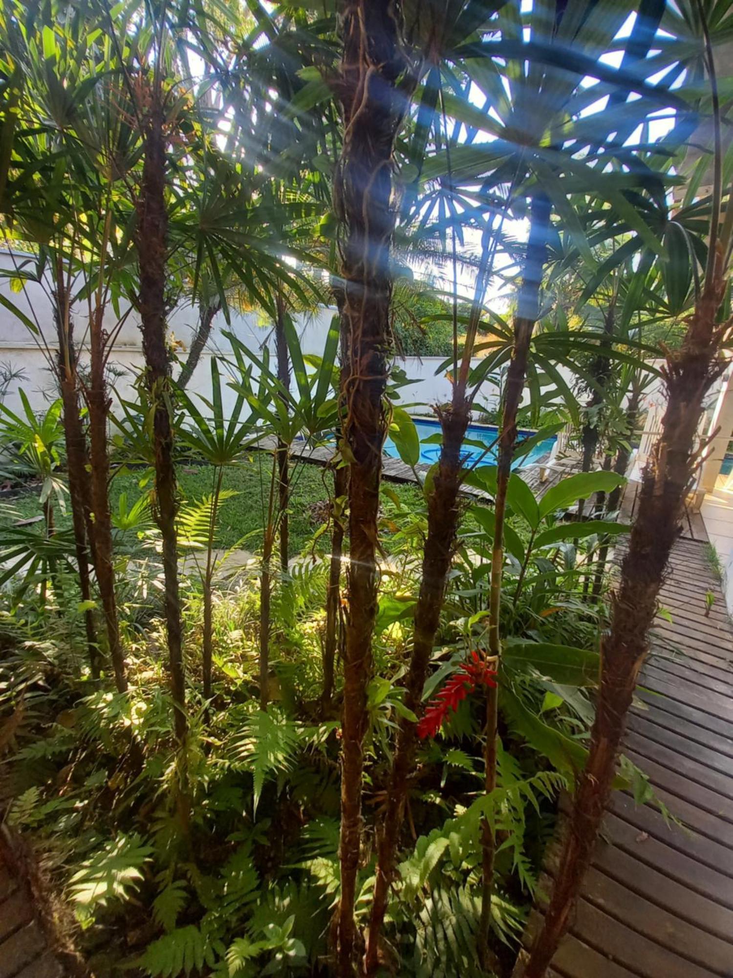 Suite No Condominio Itamambuca - Muito Perto Da Praia !!! Ubatuba Oda fotoğraf