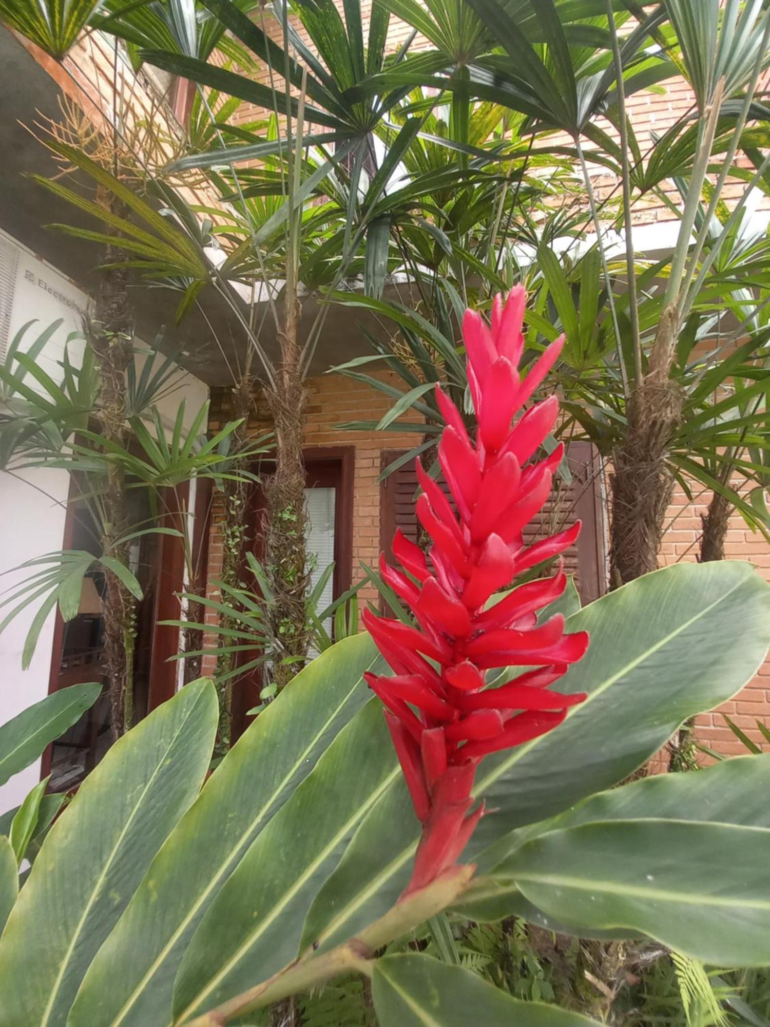 Suite No Condominio Itamambuca - Muito Perto Da Praia !!! Ubatuba Dış mekan fotoğraf